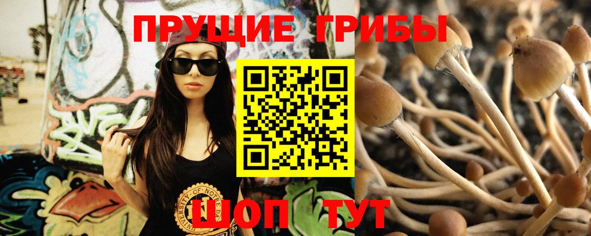 Псилоцибиновые грибы ЛСД  Вход с VPN  Лысьва 