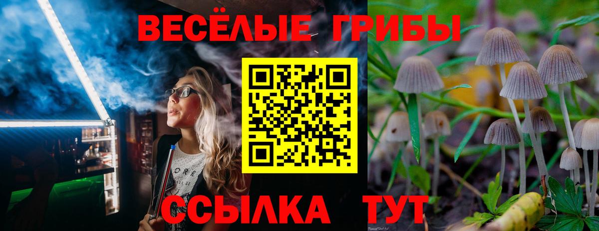 Галлюциногенные грибы MAGIC MUSHROOMS Лысьва